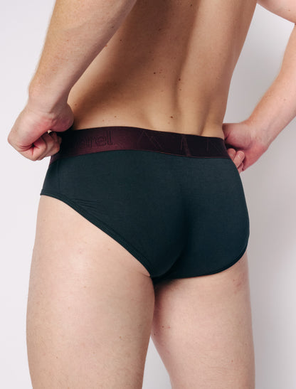 Brief