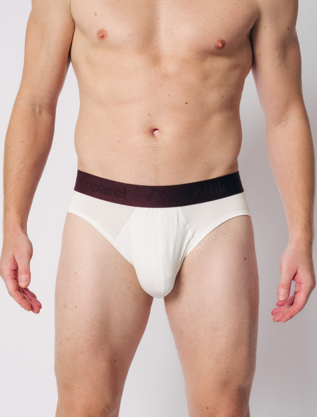 Brief