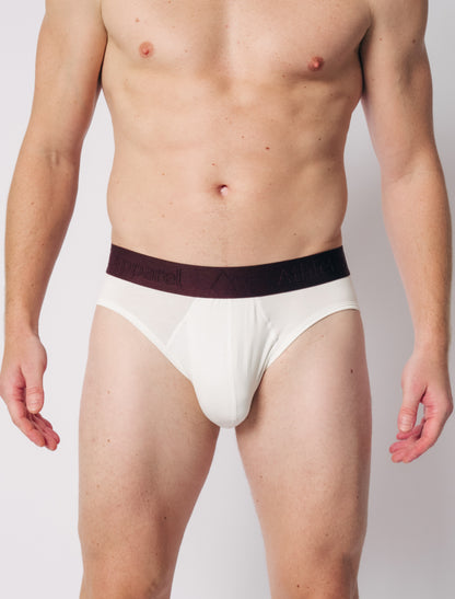 Brief