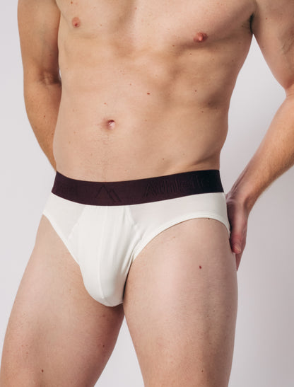Brief