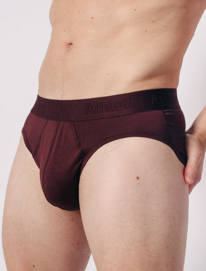 Brief