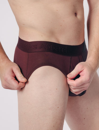 Brief