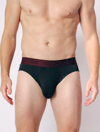 Brief