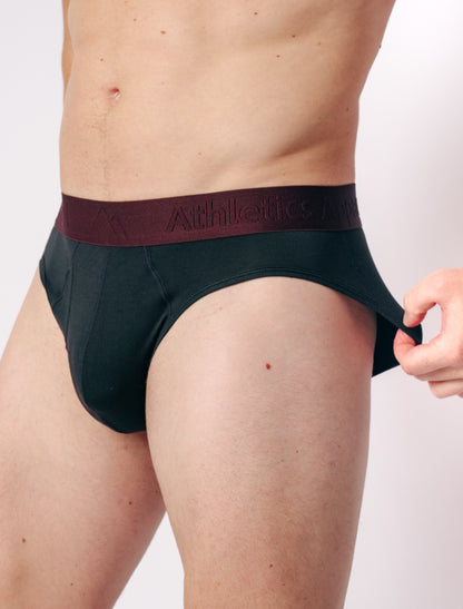 Brief